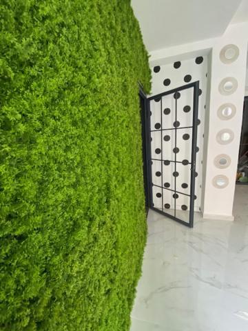 Suite 43 Terrasini Esterno foto